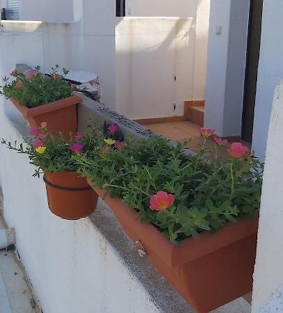 Condado De Alhama, Naranjos 8 Apartment Алама де Мурсия Екстериор снимка