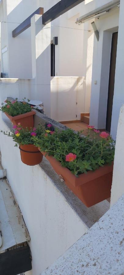 Condado De Alhama, Naranjos 8 Apartment Алама де Мурсия Екстериор снимка